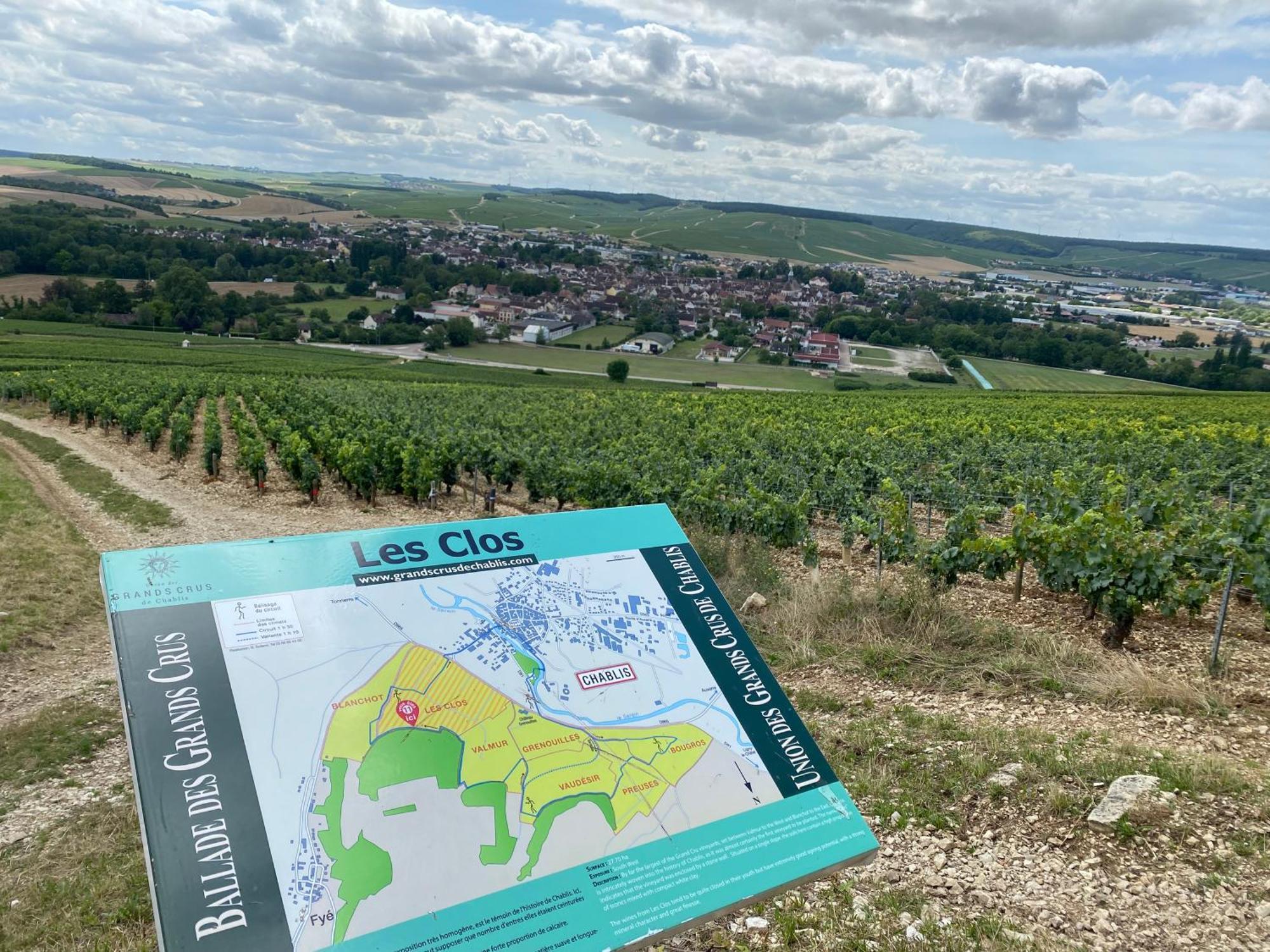 Le Merrain Gite Plein Coeur De Chablis Exterior photo